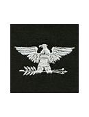 Embroidered Collar Insignia – Eagle (Colonel)