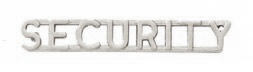 1/4" SECURITY Cut Out Letter Collar Insignia Silver Finish