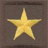 Colonel Rank Insignia