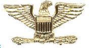 Police Collar Insignia - Eagle Gold Finish