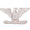 Police Collar Insignia - Eagle Silver Finish