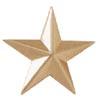 Police Collar Insignia - General Star Gold Finish