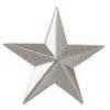 Police Collar Insignia - General Star Silver Finish